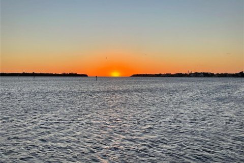 Land in Saint Petersburg, Florida № 1430632 - photo 14