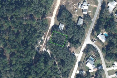 Land in Avon Park, Florida № 2161963