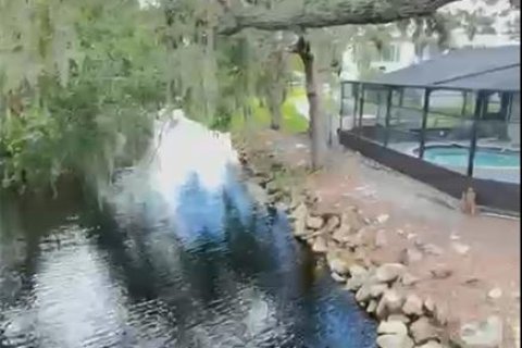 Copropriété à vendre à Tampa, Floride: 3 pièces, 31.22 m2 № 1903653 - photo 26