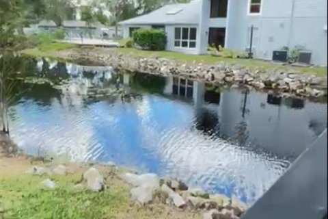 Copropriété à vendre à Tampa, Floride: 3 pièces, 31.22 m2 № 1903653 - photo 23