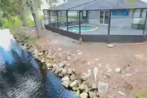 Copropriété à vendre à Tampa, Floride: 3 pièces, 31.22 m2 № 1903653 - photo 27