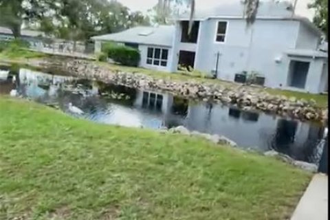 Copropriété à vendre à Tampa, Floride: 3 pièces, 31.22 m2 № 1903653 - photo 22