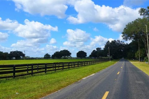 Terreno en venta en Ocala, Florida № 1575165 - foto 8