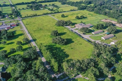 Terrain à vendre à Ocala, Floride № 1918236 - photo 4