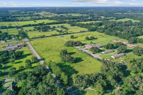 Terrain à vendre à Ocala, Floride № 1918236 - photo 6