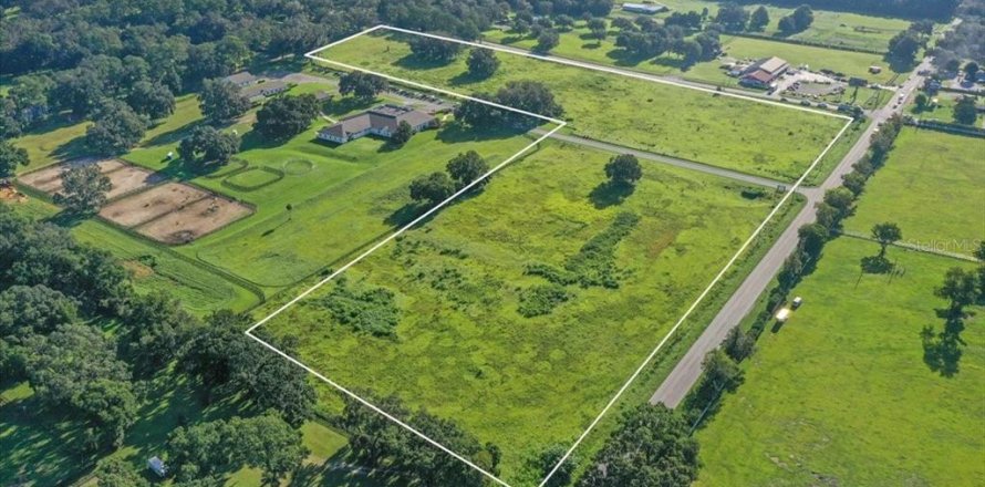 Terrain à Ocala, Floride № 1918236