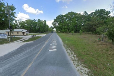 Terreno en venta en Branford, Florida № 2166924 - foto 8