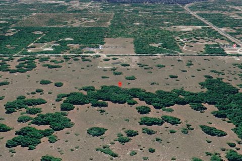 Terreno en venta en Branford, Florida № 2166924 - foto 12