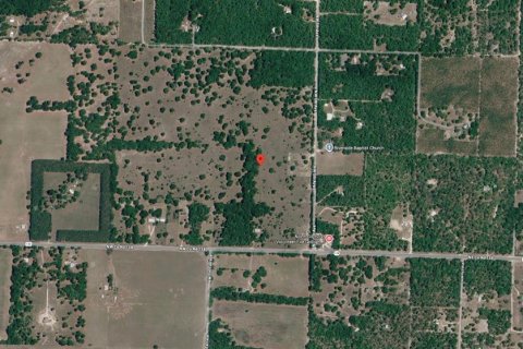 Terreno en venta en Branford, Florida № 2166924 - foto 9