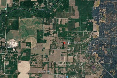 Terreno en venta en Branford, Florida № 2166924 - foto 3