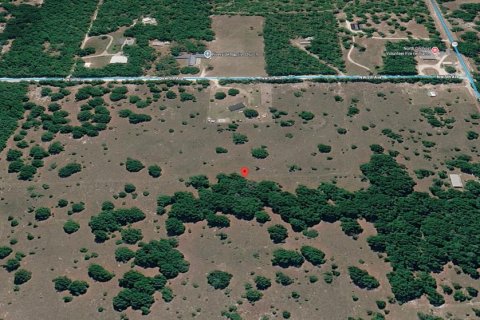 Terreno en venta en Branford, Florida № 2166924 - foto 11