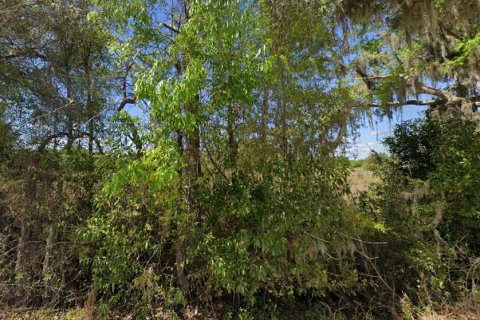 Terreno en venta en Branford, Florida № 2166924 - foto 4