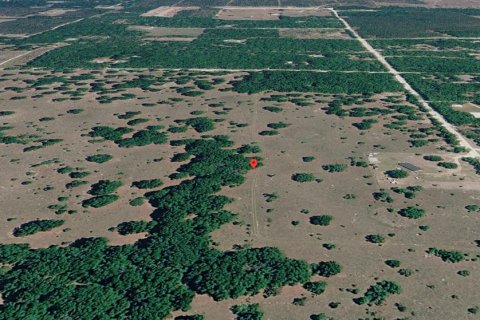 Terreno en venta en Branford, Florida № 2166924 - foto 10