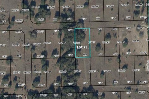 Terreno en Branford, Florida № 2166924