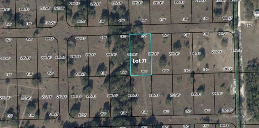 Terreno en Branford, Florida № 2166924