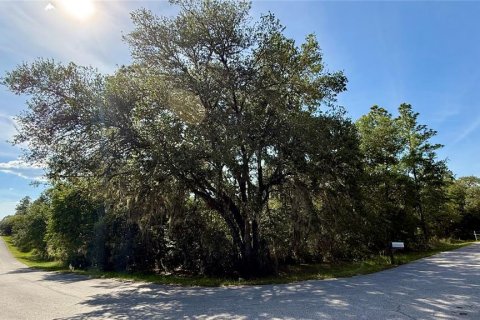Land in Dunnellon, Florida № 2161333