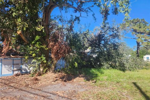 Land in Saint Petersburg, Florida № 1542433 - photo 7