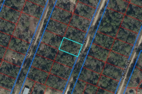 Land in Williston, Florida № 2160164