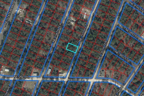 Land in Williston, Florida № 2160164 - photo 5