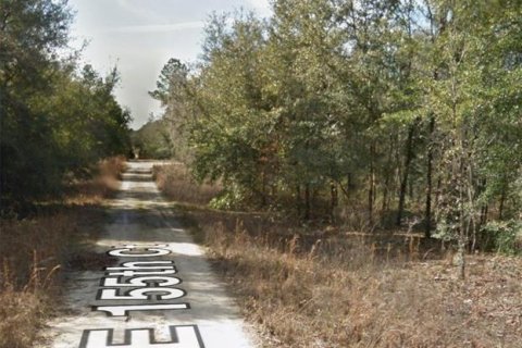 Land in Williston, Florida № 2160164 - photo 3