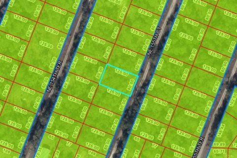 Land in Williston, Florida № 2160164 - photo 2