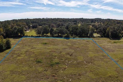 Land in Ocala, Florida № 2119028 - photo 8