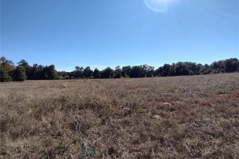 Land in Ocala, Florida № 2119028 - photo 10