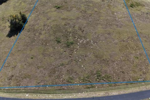Land in Ocala, Florida № 2119028 - photo 4