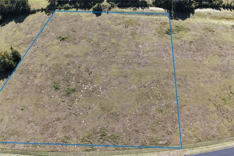 Land in Ocala, Florida № 2119028 - photo 5