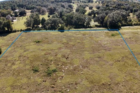 Land in Ocala, Florida № 2119028 - photo 6