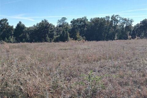 Land in Ocala, Florida № 2119028 - photo 11