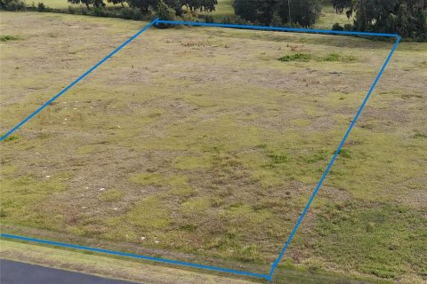 Land in Ocala, Florida № 2119028 - photo 7