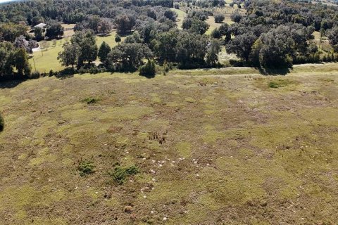 Land in Ocala, Florida № 2119028 - photo 2