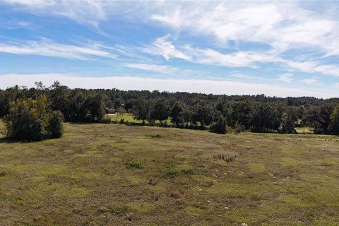 Land in Ocala, Florida № 2119028 - photo 9