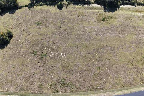Land in Ocala, Florida № 2119028 - photo 3