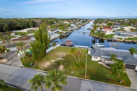 Terreno en venta en New Port Richey, Florida № 1778128 - foto 4