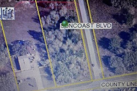 Terreno en venta en Spring Hill, Florida № 1802889 - foto 4