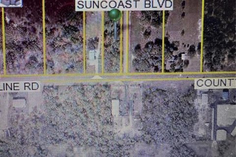 Terreno en venta en Spring Hill, Florida № 1802889 - foto 2