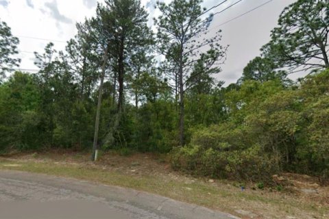 Land in Dunnellon, Florida № 2159515 - photo 6