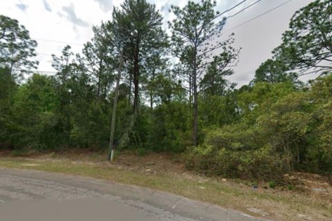 Land in Dunnellon, Florida № 2159515 - photo 2