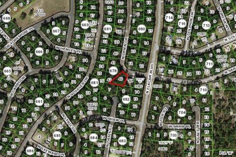 Land in Dunnellon, Florida № 2159515 - photo 4