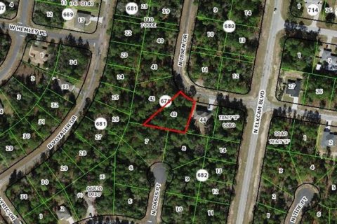 Land in Dunnellon, Florida № 2159515 - photo 3