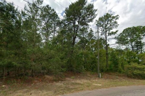 Land in Dunnellon, Florida № 2159515