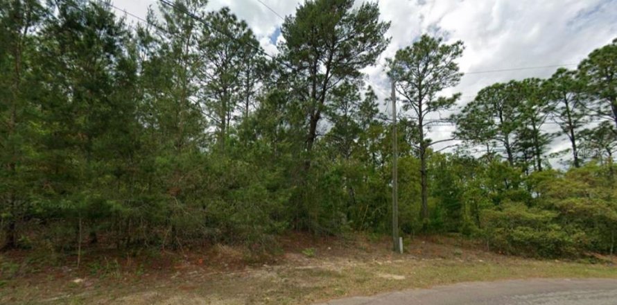 Land in Dunnellon, Florida № 2159515