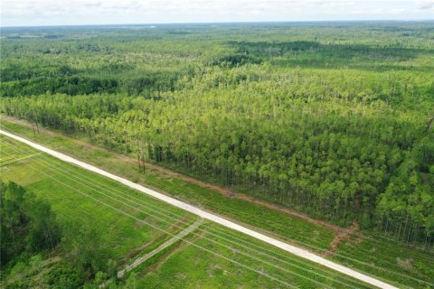 Land in Fort MC Coy, Florida № 1886701 - photo 2