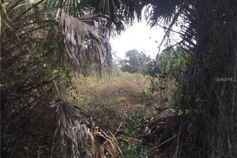 Land in North Port, Florida № 2159042 - photo 3