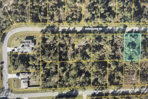 Land in North Port, Florida № 2159042 - photo 2