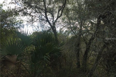 Land in North Port, Florida № 2159042 - photo 5