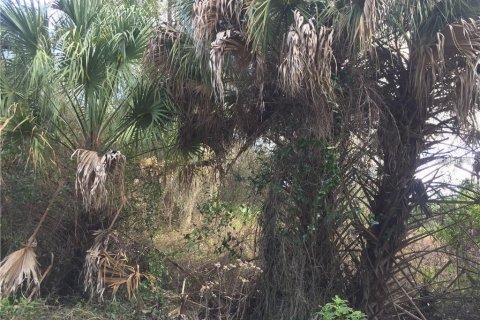 Land in North Port, Florida № 2159042 - photo 9