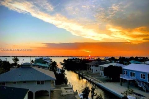 Villa ou maison à louer à Big Pine Key, Floride: 4 chambres, 218.51 m2 № 2180499 - photo 20